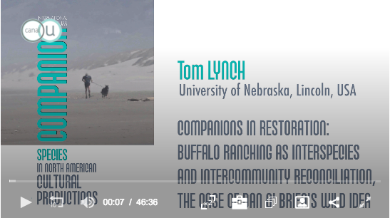 Screen Shot 2018-08-30 at 9.55.51 PM