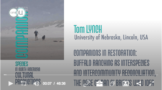 Screen Shot 2018-08-30 at 9.55.51 PM